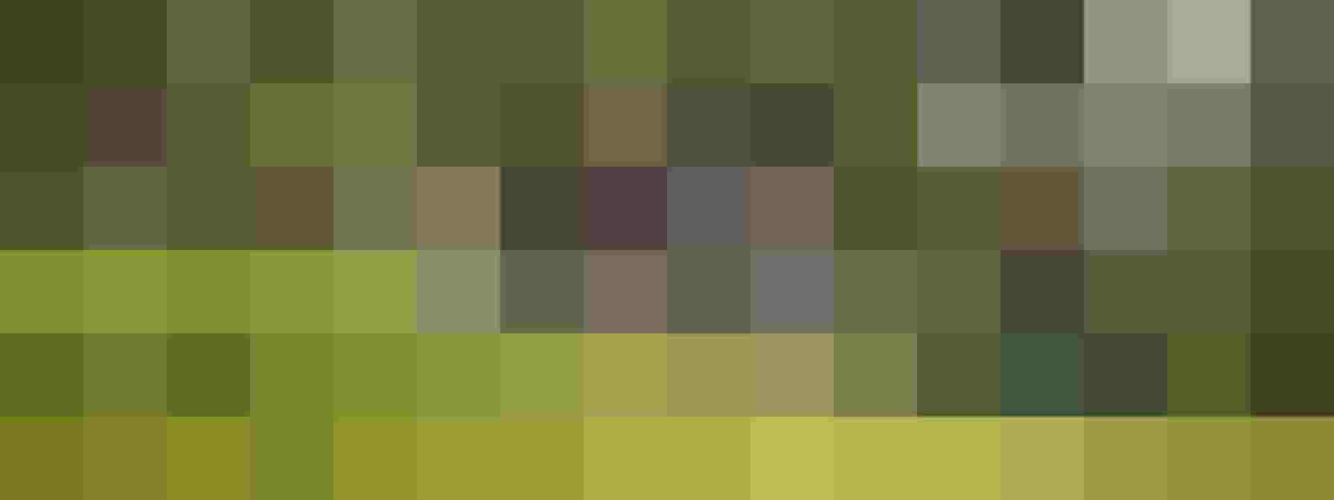 Familie unternimmt eine Wanderung durch grüne Wiesen und Wälder in den Bergen.